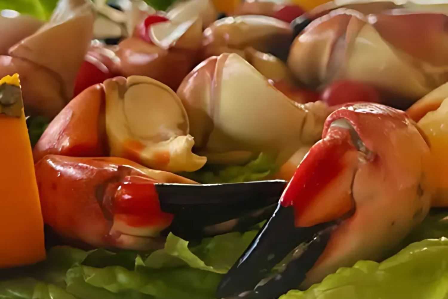 Close-up of fresh stone crab claws on lettuce.